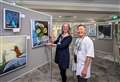 400 works feature in Cambridge Drawing Society’s spring exhibition